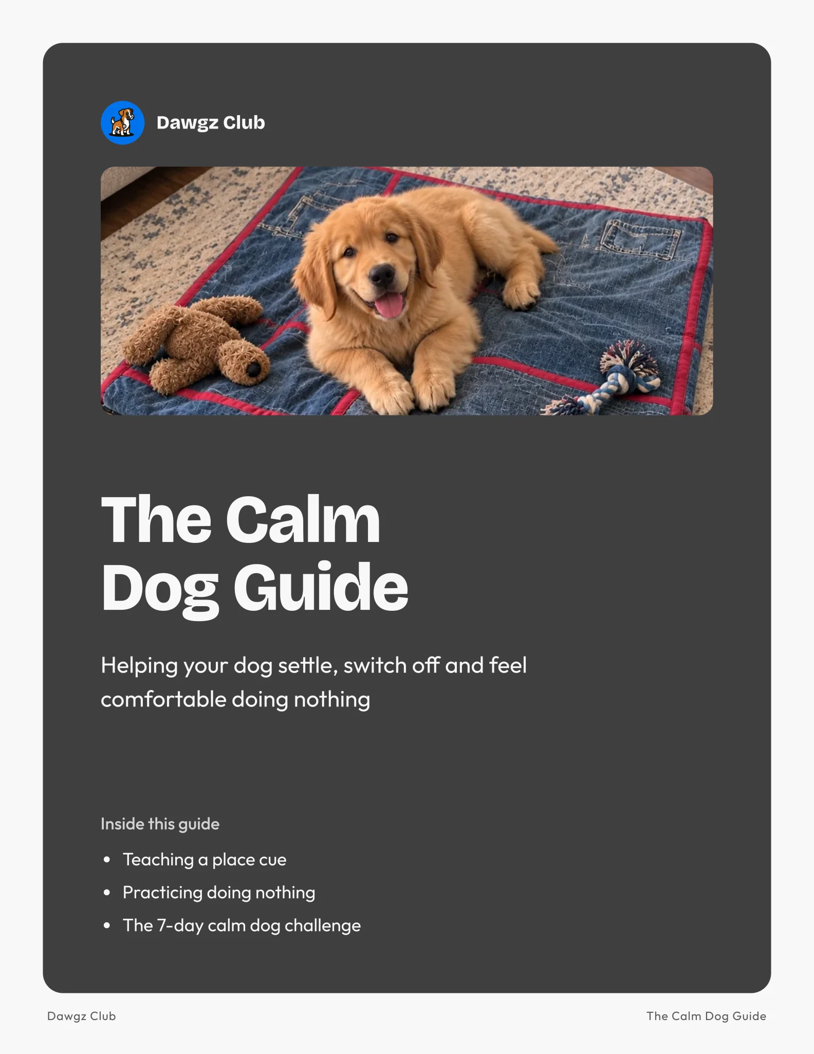 The Calm Dog Guide cover